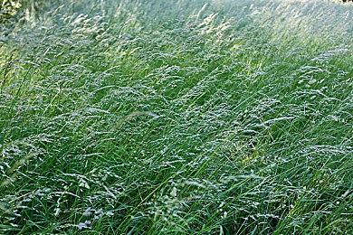 TGA 2023：《博德之门3》阿斯代伦演员获最佳表演奖